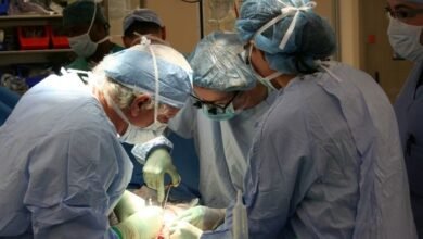 Pulmonary Transplantation, Lungs Transplant, Lungs Replacement, Operation For Lungs Transplant, Lungs Surgery