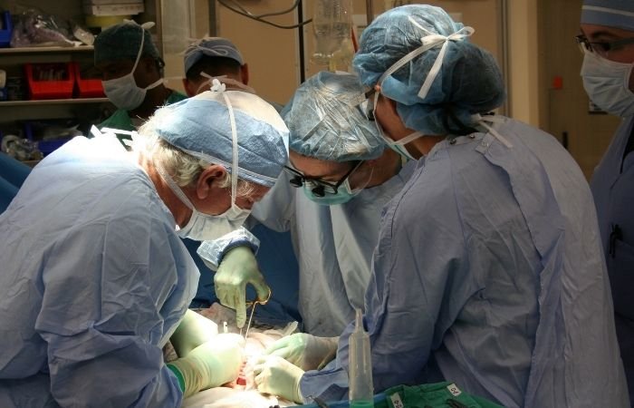 Pulmonary Transplantation, Lungs Transplant, Lungs Replacement, Operation For Lungs Transplant, Lungs Surgery