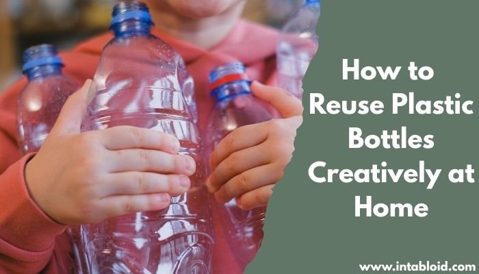 How to Reuse Plastic Bottles Creatively at Home