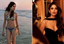 Aaditi Pohankar bra size