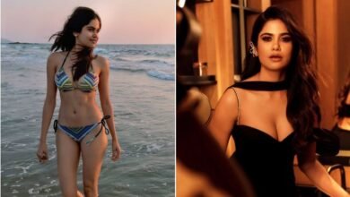 Aaditi Pohankar bra size