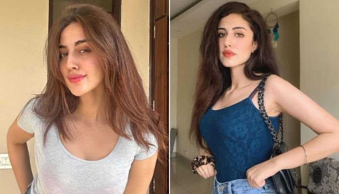 Samreen Kaur Age, Height, Weight, Figure Measurements, Body Measurements, Bra Size, Biography, Wiki, Family, Net Worth & More